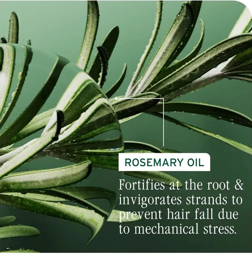Rosemary oil with text about its benefits on a green background