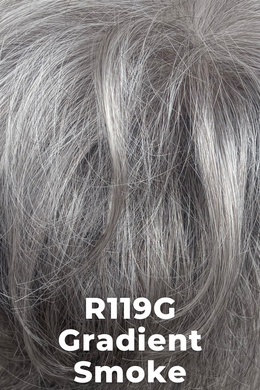 Gray hair color swatch labeled R119G Gradient Smoke