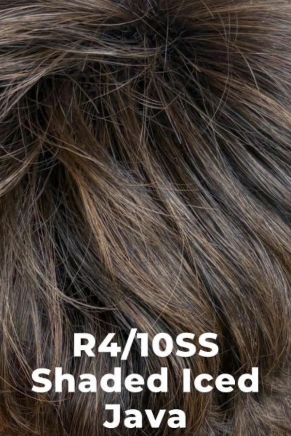 Close-up of brown hair with text 'R4/10SS Shaded Iced Java'