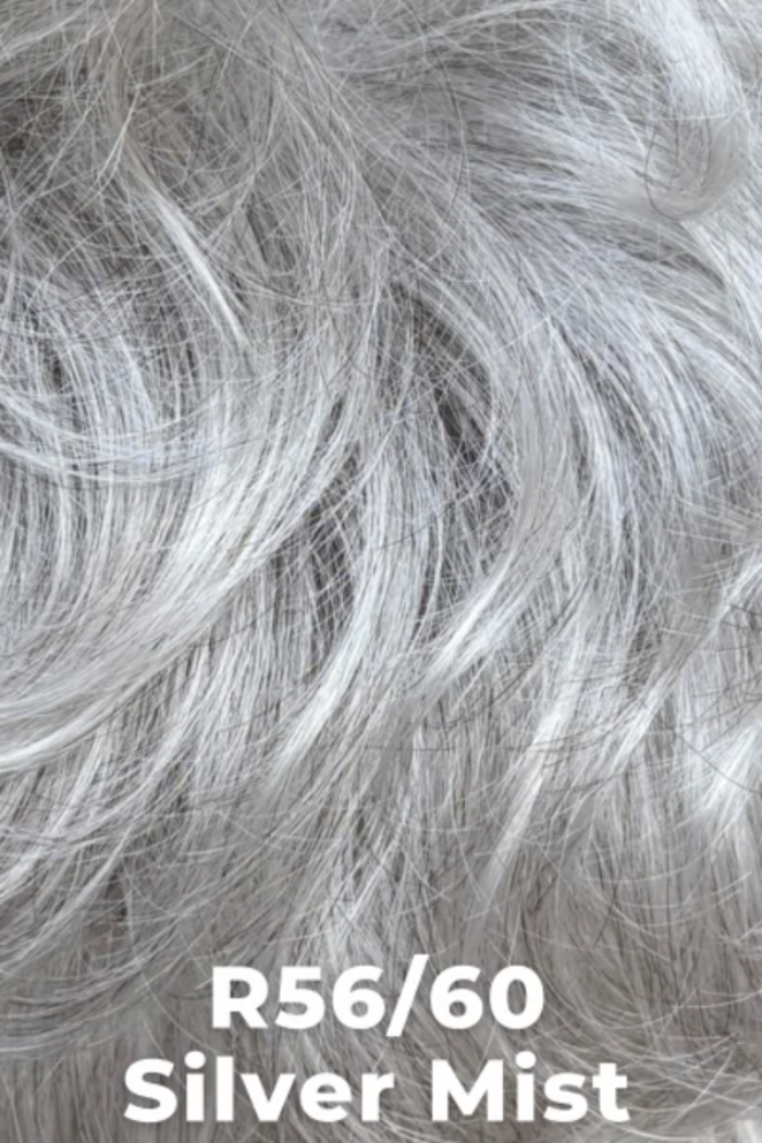 Close-up of gray hair strands with color code R56/60 Silver Mist.