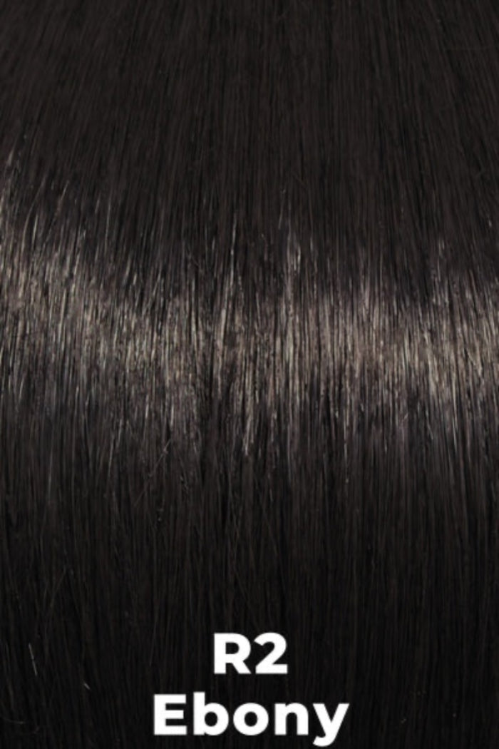 Close-up of straight, glossy black hair texture with white text reading 'R2 Ebony' at the bottom.