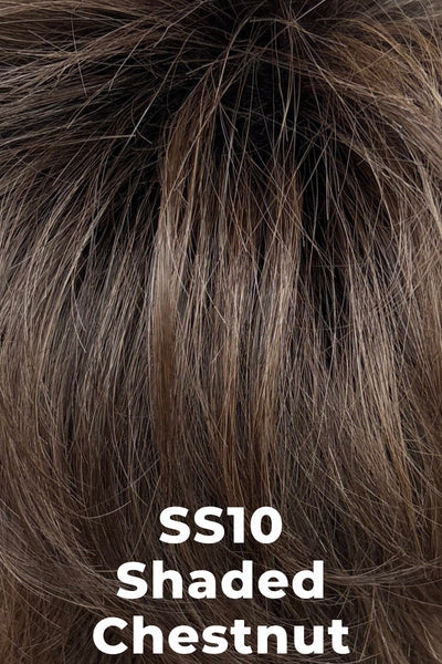 Close-up of hair strands in a shaded chestnut brown shade, with white text reading 'SS10 Shaded Chestnut' overlaid at the bottom.