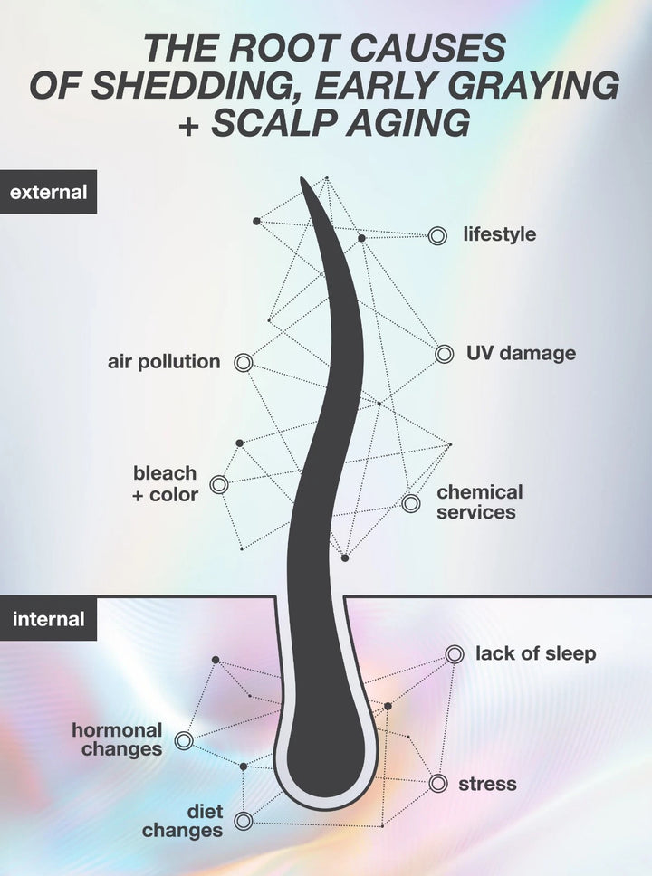 An informational infographic titled 'THE ROOT CAUSES OF SHEDDING, EARLY GRAYING + SCALP AGING' showing a stylized hair follicle with labeled internal and external factors such as lifestyle, air pollution, UV damage, bleach and color, chemical services, lack of sleep, stress, hormonal changes, and diet changes.