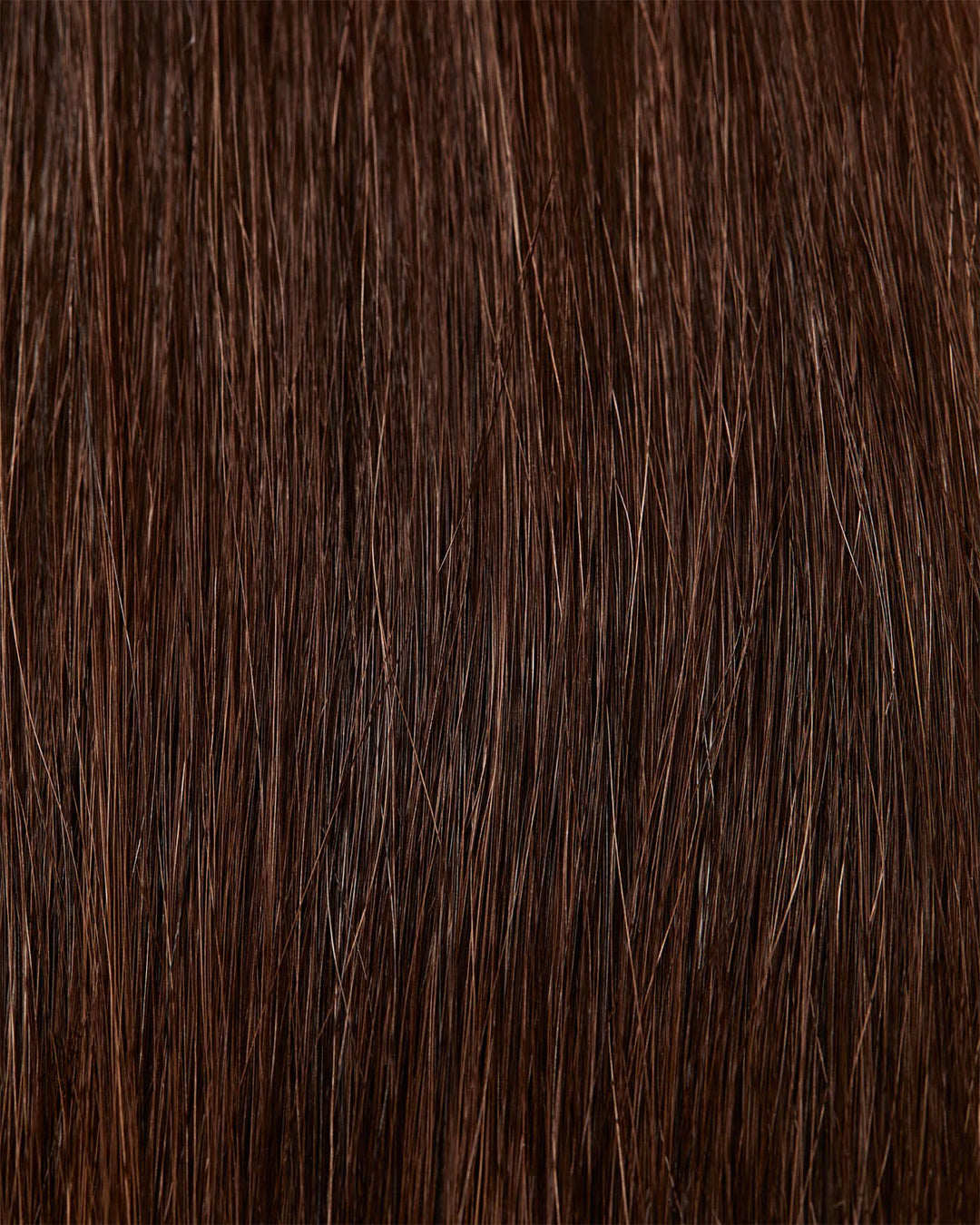 Maria Nila Colour Refresh Cacao image of color swatch