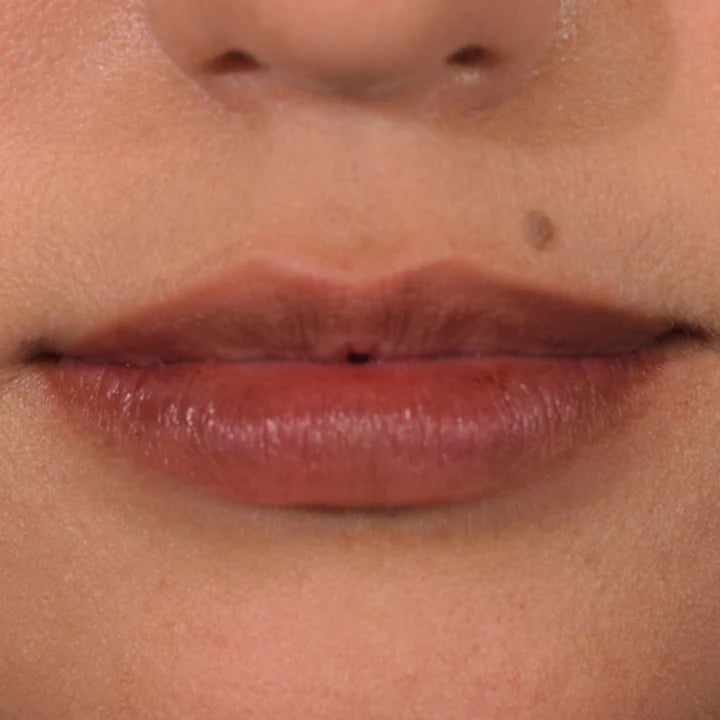 Palladio Lip Stain Nude