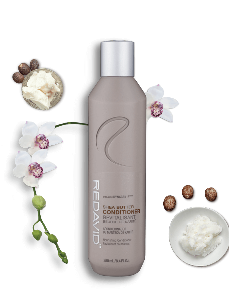 Redavid Shea Butter Conditioner